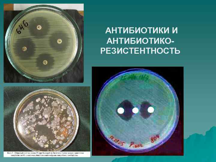 АНТИБИОТИКИ И АНТИБИОТИКОРЕЗИСТЕНТНОСТЬ 