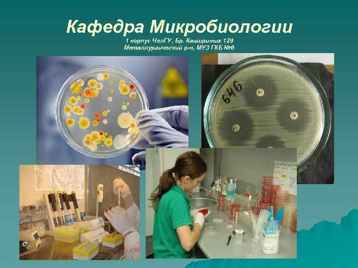 Кафедра Микробиологии 1 корпус Чел. ГУ, Бр. Кашириных 129 Бр. Металлургический р-н, МУЗ ГКБ