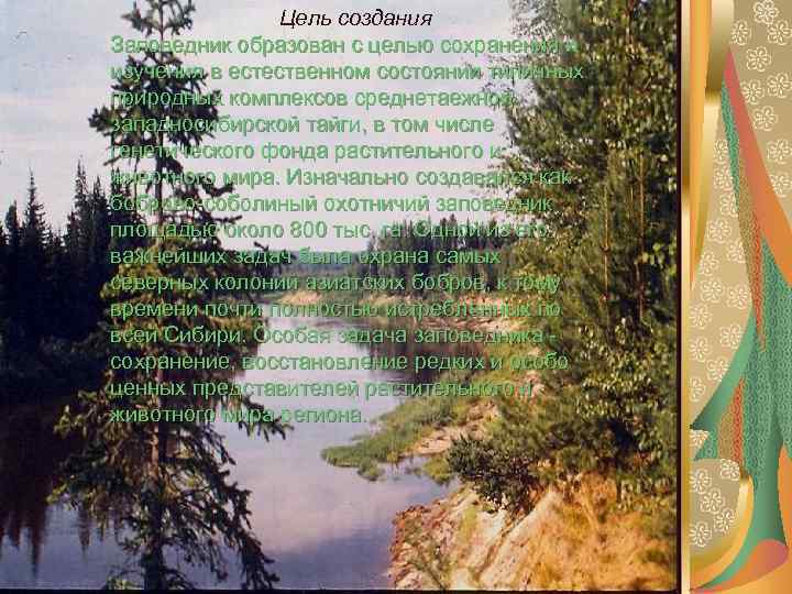 Цель создания Заповедник образован с целью сохранения и изучения в естественном состоянии типичных природных