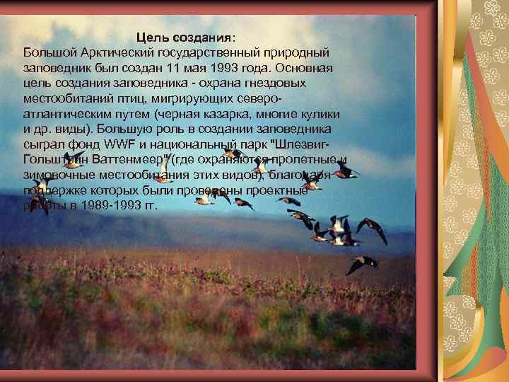 Цель создания: Большой Арктический государственный природный заповедник был создан 11 мая 1993 года. Основная