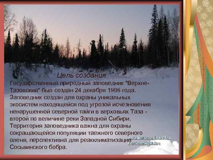 Цель создания Государственный природный заповедник "Верхне. Тазовский" был создан 24 декабря 1986 года. Заповедник