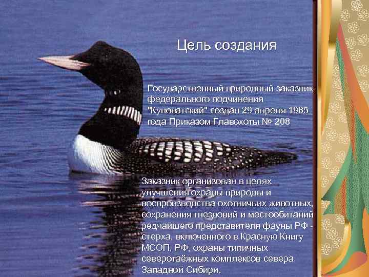 Цель создания Государственный природный заказник федерального подчинения "Куноватский" создан 29 апреля 1985 года Приказом