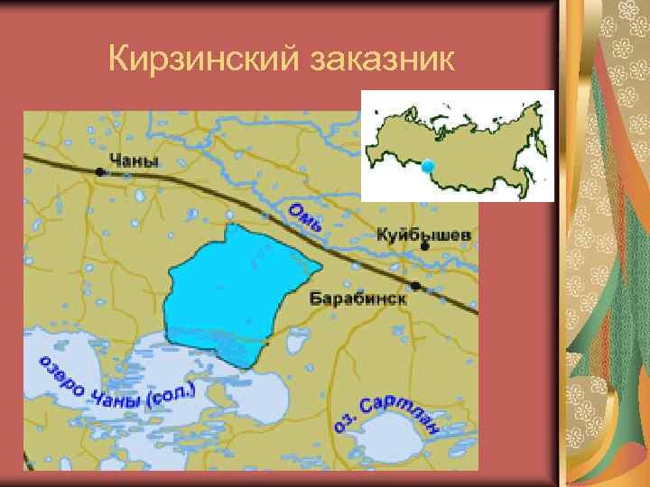 Кирзинский заказник 