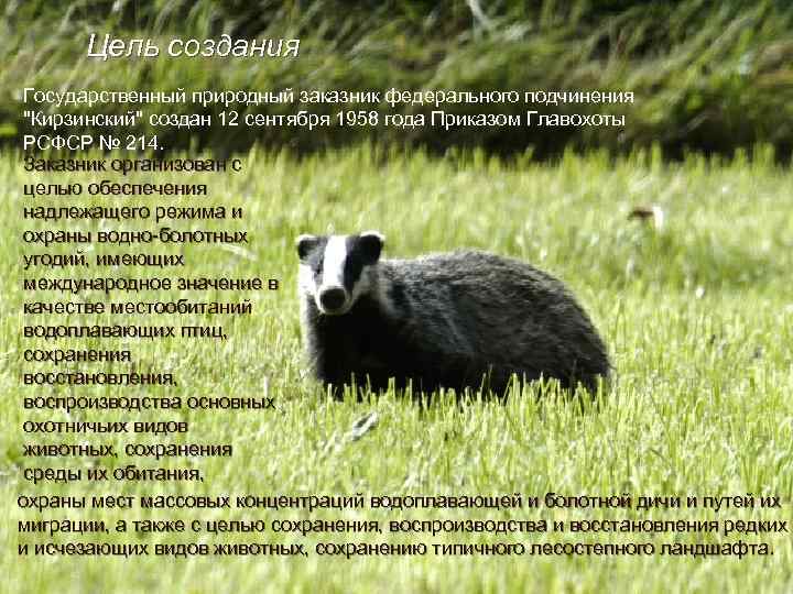 Цель создания Государственный природный заказник федерального подчинения "Кирзинский" создан 12 сентября 1958 года Приказом