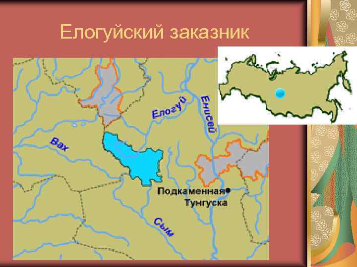 Елогуйский заказник 