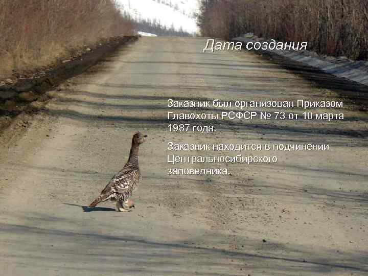 Дата создания Заказник был организован Приказом Главохоты РСФСР № 73 от 10 марта 1987