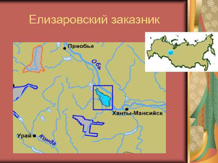 Елизаровский заказник 