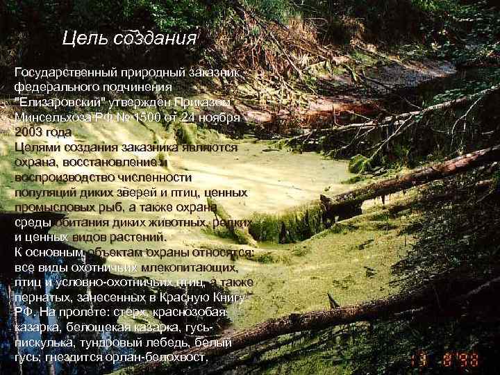 Цель создания Государственный природный заказник федерального подчинения "Елизаровский" утвержден Приказом Минсельхоза РФ № 1500