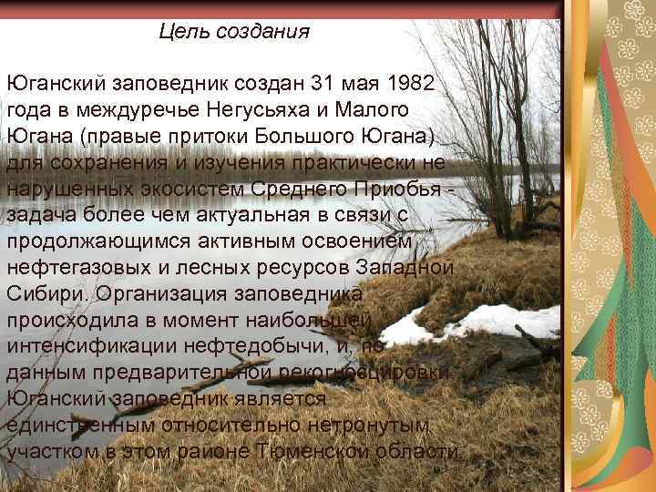 Цель создания Юганский заповедник создан 31 мая 1982 года в междуречье Негусьяха и Малого