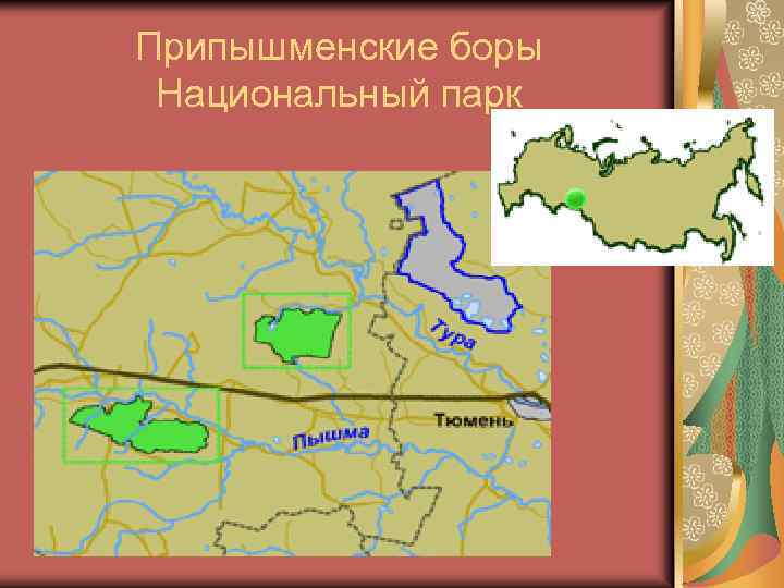 Припышменские боры Национальный парк 