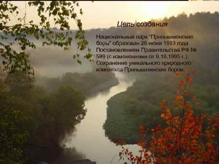 Цель создания Национальный парк “Припышменские боры” образован 20 июня 1993 года Постановлением Правительства РФ