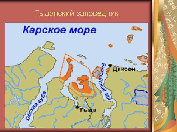 Гыданский заповедник 