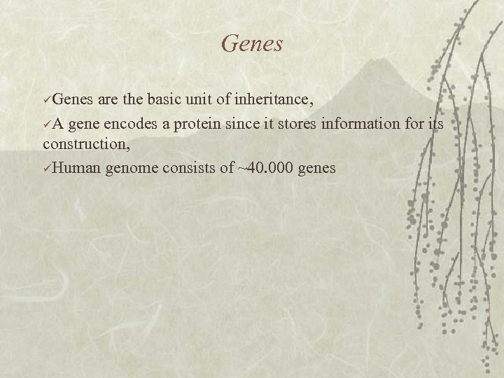 Genes üGenes are the basic unit of inheritance, üA gene encodes a protein since