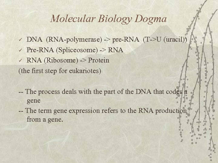 Molecular Biology Dogma DNA (RNA-polymerase) -> pre-RNA (Τ->U (uracil)) ü Pre-RNA (Spliceosome) -> RNA