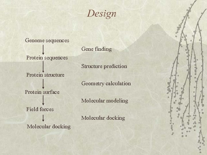 Design Genome sequences Gene finding Protein sequences Structure prediction Protein structure Geometry calculation Protein