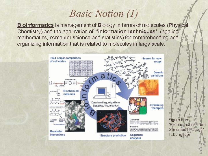 Basic Notion (1) Bioinformatics is management of Biology in terms of molecules (Physical Chemistry)