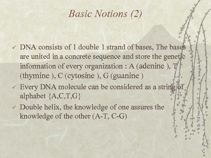 Basic Notions (2) ü ü ü DNA consists of 1 double 1 strand of