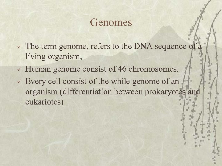 Genomes ü ü ü The term genome, refers to the DNA sequence of a