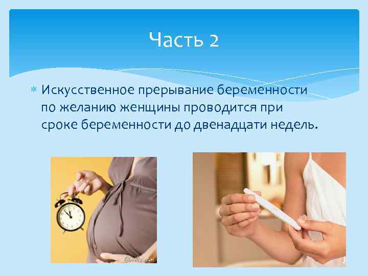 Часть 2 Искусственное прерывание беременности по желанию женщины проводится при сроке беременности до двенадцати