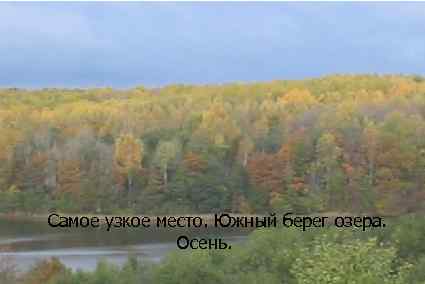 Самое узкое место. Южный берег озера. Осень. 