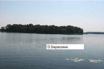 О. Березовик 