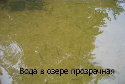 Вода в озере прозрачная 
