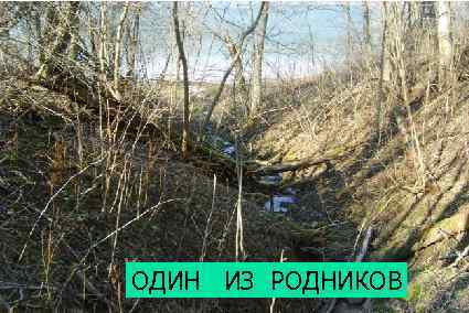 ОДИН ИЗ РОДНИКОВ 