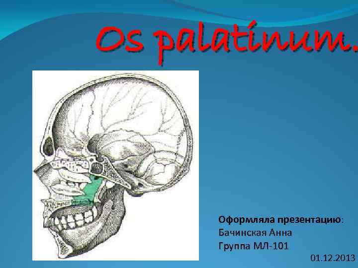 Os palatinum. Оформляла презентацию: Бачинская Анна Группа МЛ-101 01. 12. 2013 