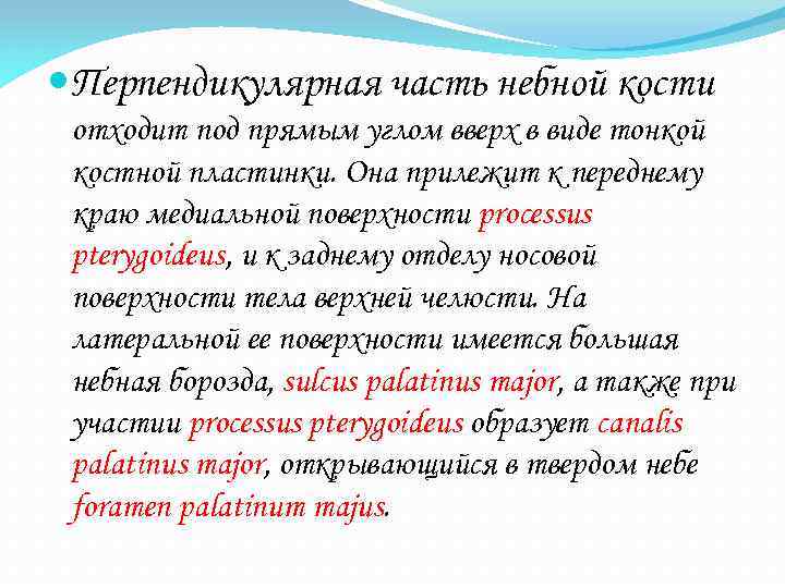  Перпендикулярная часть небной кости отходит под прямым углом вверх в виде тонкой костной