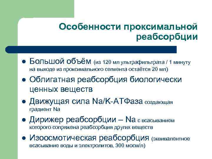 Особенности проксимальной реабсорбции l Большой объём (из 120 мл ультрафильтрата / 1 минуту на