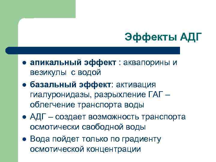 Эффекты АДГ l l апикальный эффект : аквапорины и везикулы с водой базальный эффект: