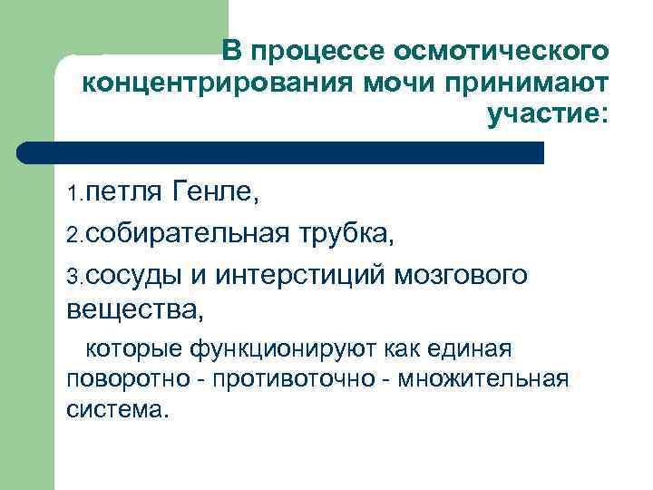 В процессе осмотического концентрирования мочи принимают участие: 1. петля Генле, 2. собирательная трубка, 3.