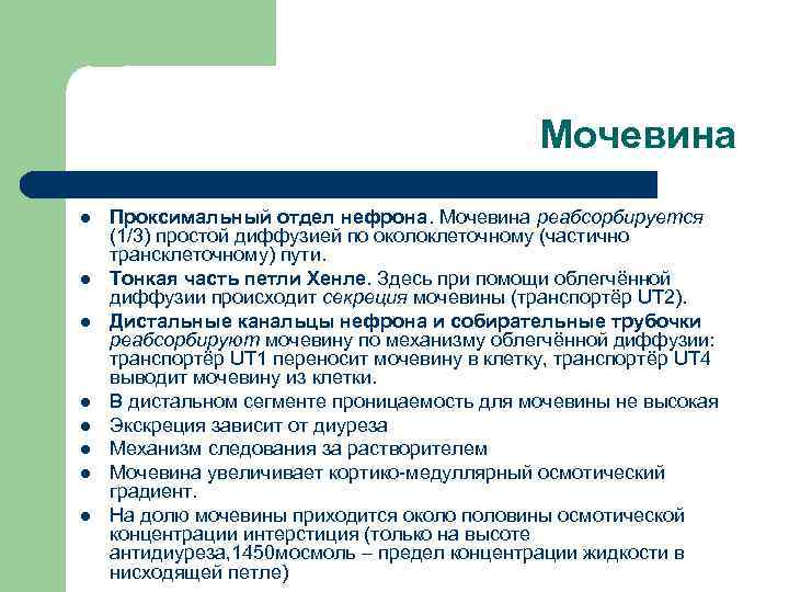 Мочевина l l l l Проксимальный отдел нефрона. Мочевина реабсорбируется (1/3) простой диффузией по