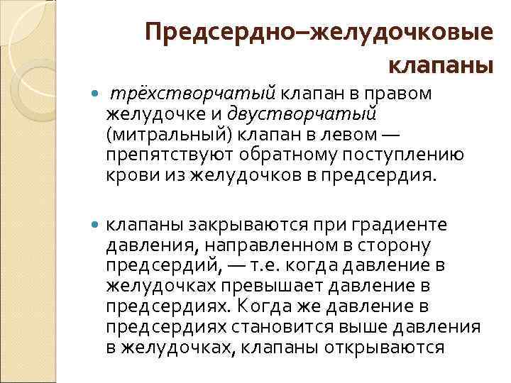 Предсердно–желудочковые клапаны трёхстворчатый клапан в правом желудочке и двустворчатый (митральный) клапан в левом —