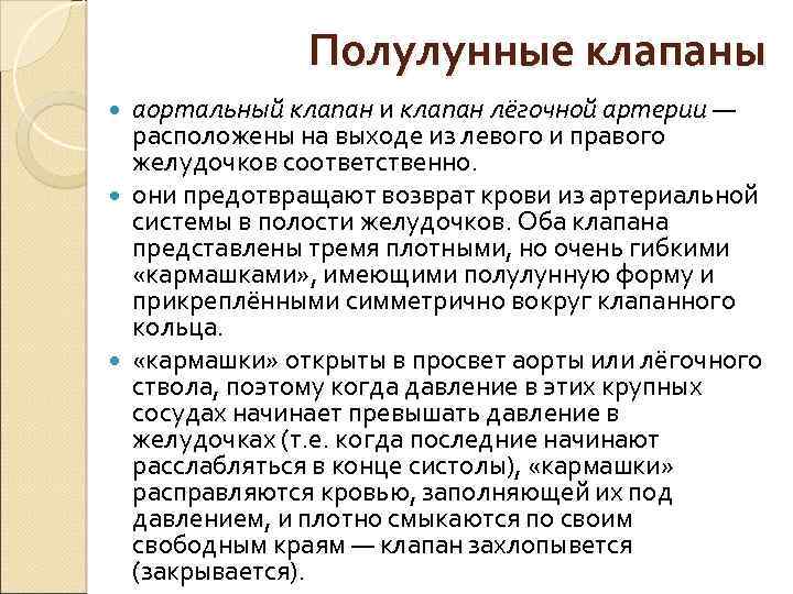 Полулунные клапаны аортальный клапан и клапан лёгочной артерии — расположены на выходе из левого
