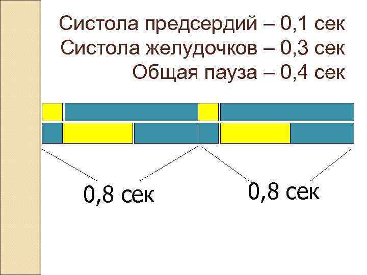 Систола предсердий – 0, 1 сек Систола желудочков – 0, 3 сек Общая пауза