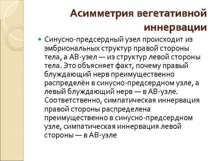 Асимметрия вегетативной иннервации Синусно-предсердный узел происходит из эмбриональных структур правой стороны тела, а АВ-узел