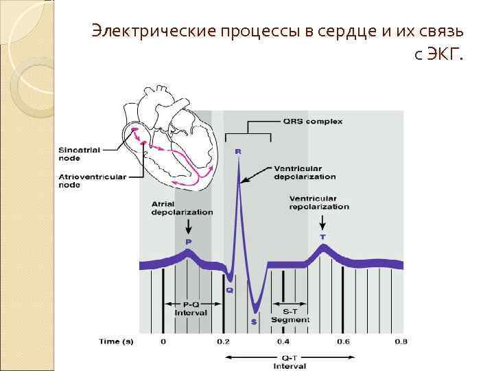 Электрические процессы