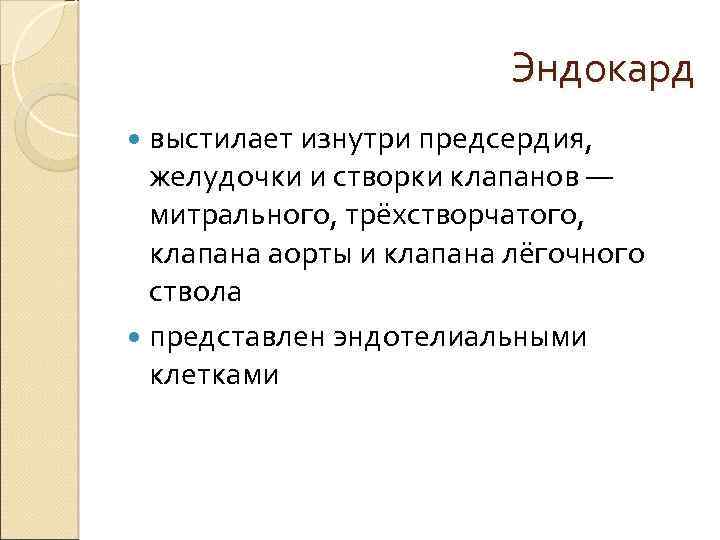Эндокард выстилает изнутри предсердия, желудочки и створки клапанов — митрального, трёхстворчатого, клапана аорты и