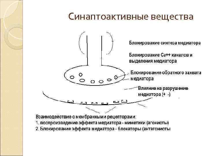 Синаптоактивные вещества 