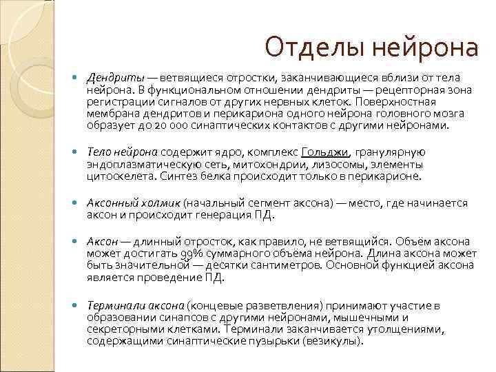 Отделы нейрона Дендриты — ветвящиеся отростки, заканчивающиеся вблизи от тела Дендриты нейрона. В функциональном