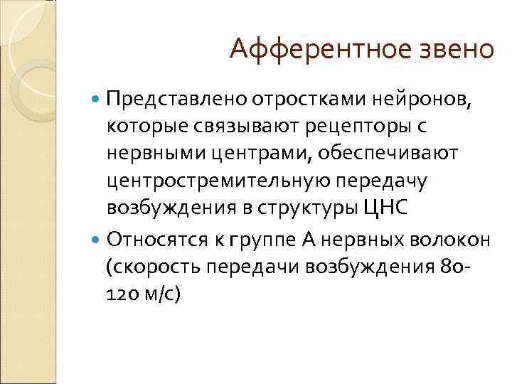 Афферентное звено Представлено отростками нейронов, которые связывают рецепторы с нервными центрами, обеспечивают центростремительную передачу