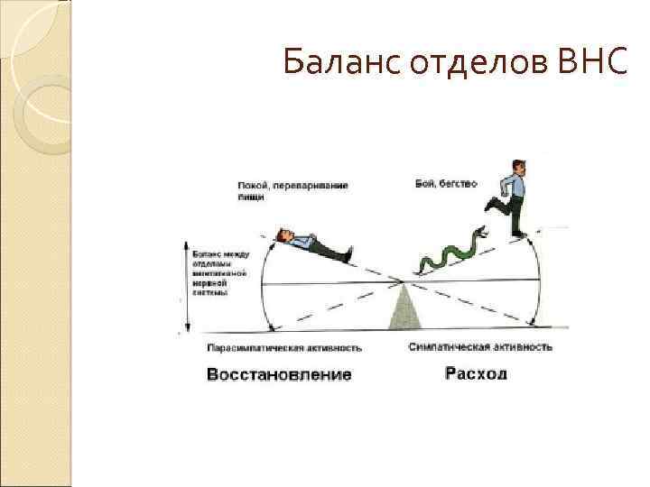 Баланс отделов ВНС 