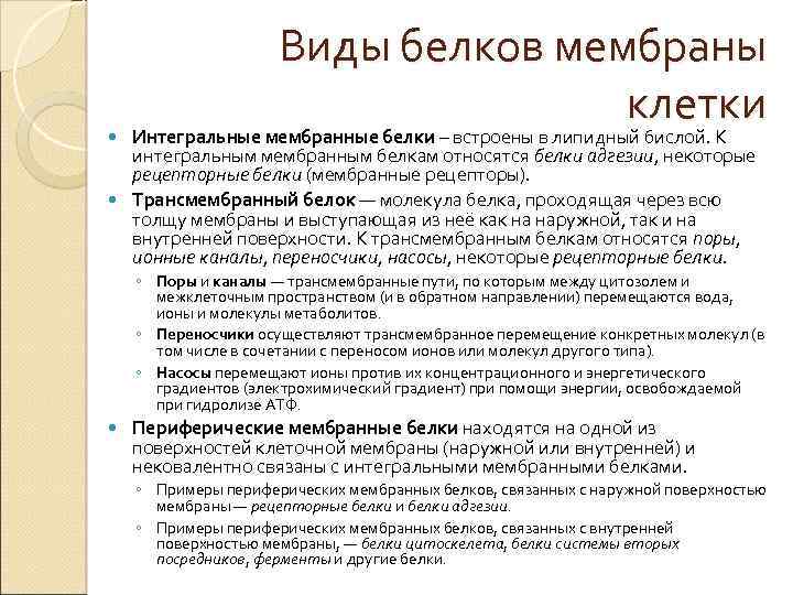  Виды белков мембраны клетки Интегральные мембранные белки – встроены в липидный бислой. К