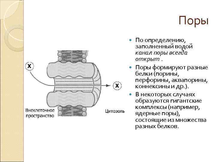 Заполнен определение