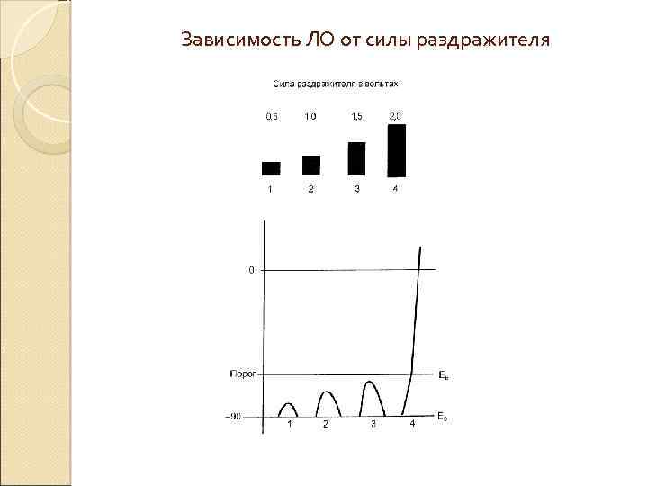 Зависимость ЛО от силы раздражителя 