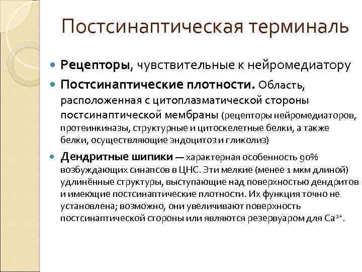 Постсинаптическая терминаль Рецепторы, чувствительные к нейромедиатору Постсинаптические плотности. Область, расположенная с цитоплазматической стороны постсинаптической