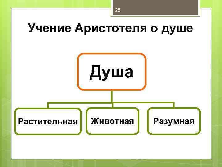 25 Учение Аристотеля о душе Душа Растительная Животная Разумная 