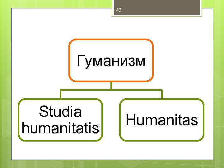 43 Гуманизм Studia humanitatis Humanitas 