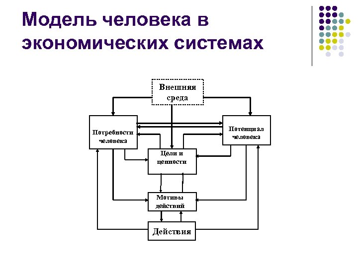 Модель человека в экономических системах Внешняя среда Потенциал человека Потребности человека Цели и ценности